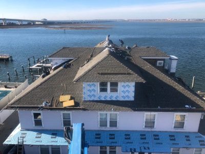 Professional Roof Siding Installation